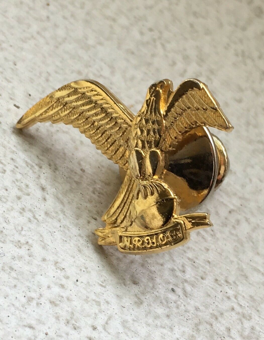 National Rivers Hall Of Fame Pin Htf Rare Eagle Holding Or Standing On The Earth