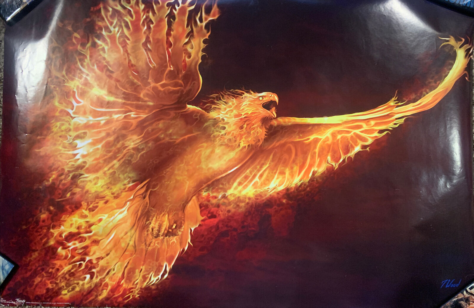 Phoenix Rising Poster 34x22 Fantasy Art Tom Wood